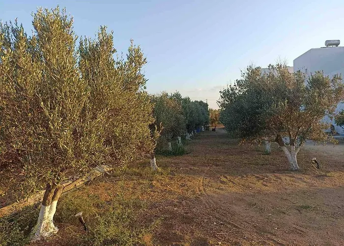 Eleonas 2 Lejlighed *